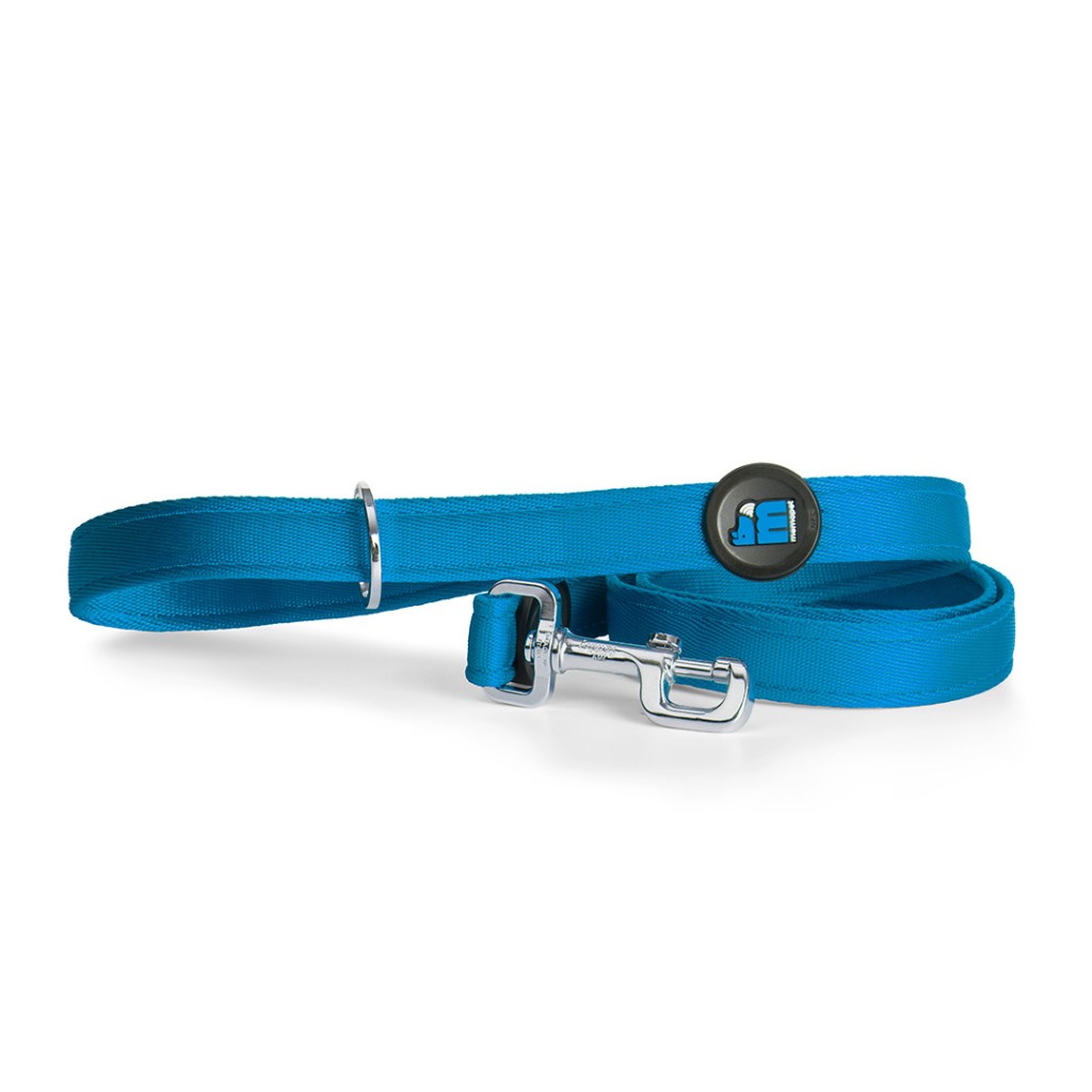 MYFAMILY TAPE LEASH BLUE NYLON MM 1.2 CM 180