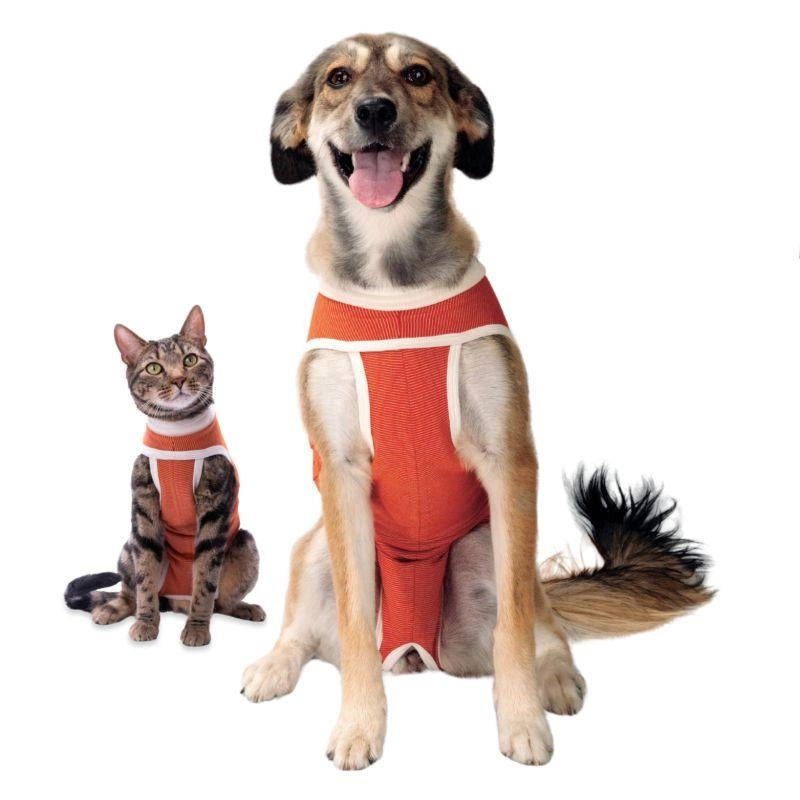 LUNA & MILO COPPERBODY CLASSIC #0