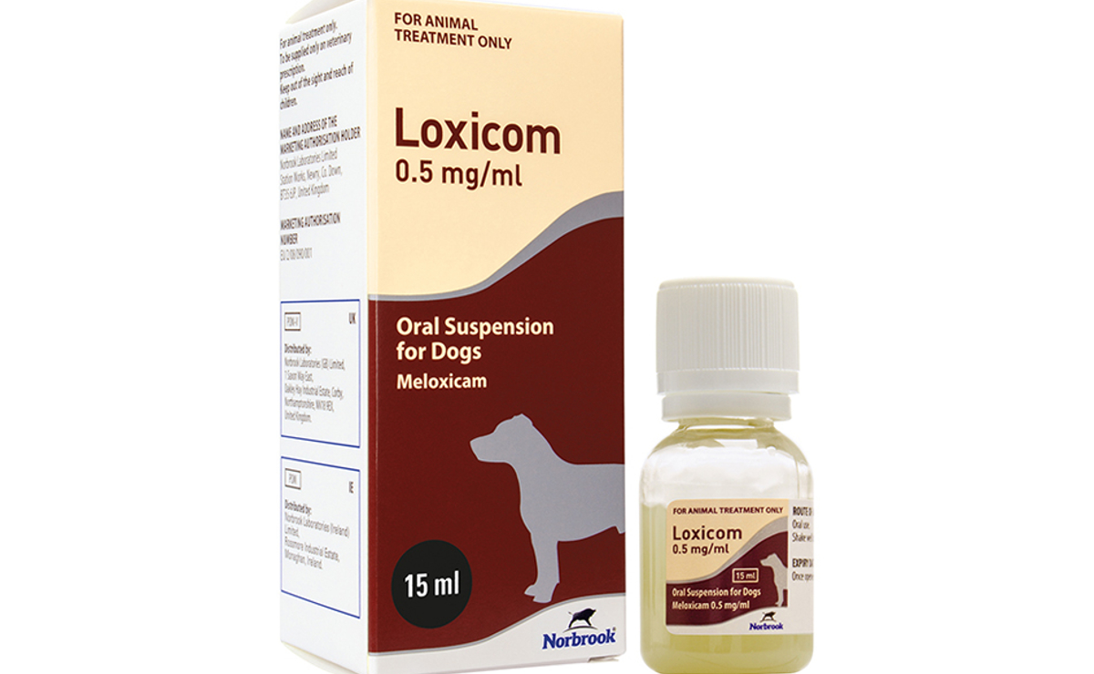 LOXICOM 0.5MG/ML ORAL SUSP DOGS 15ML