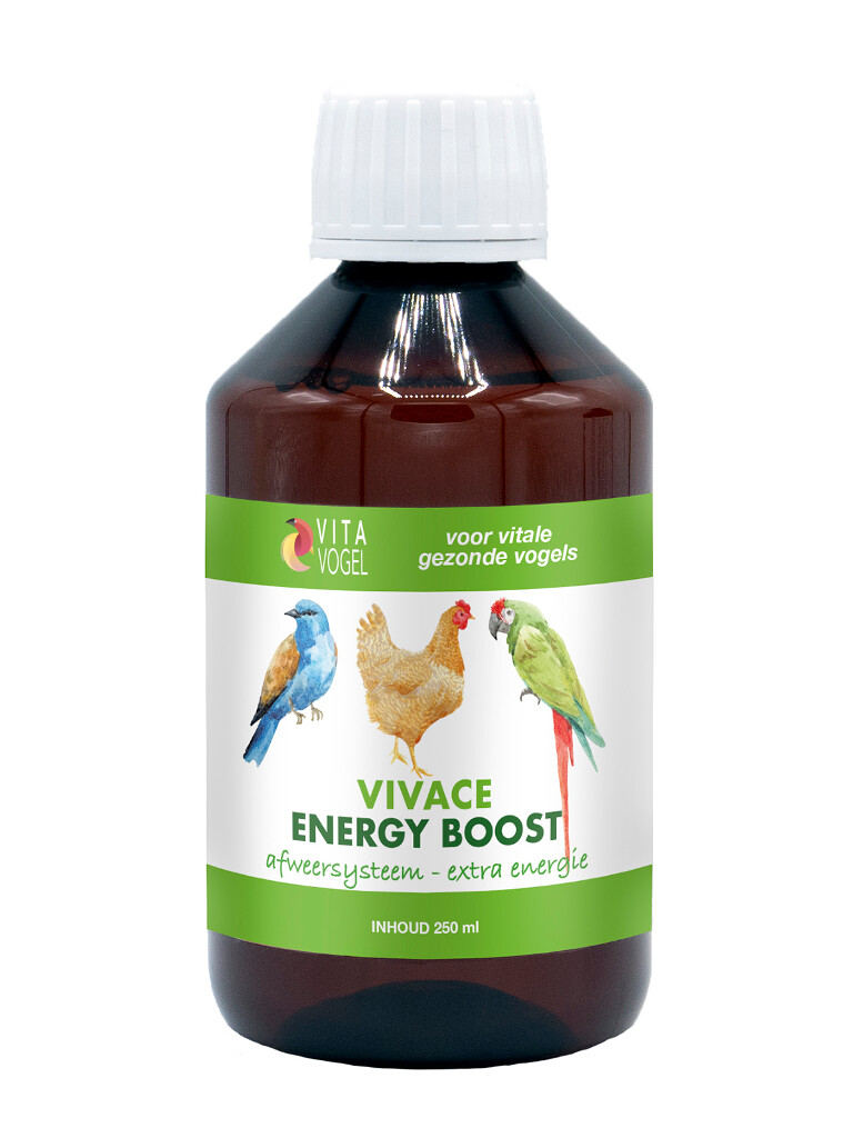 V250 - VIVACE ENERGY BOOST 250ML