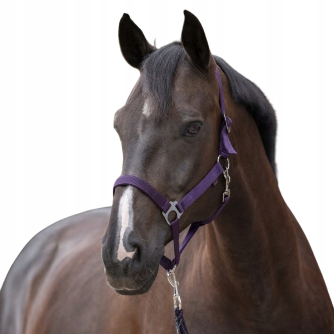 KERBL NYLON HALTER HIPPO FOAL AUBERGINE