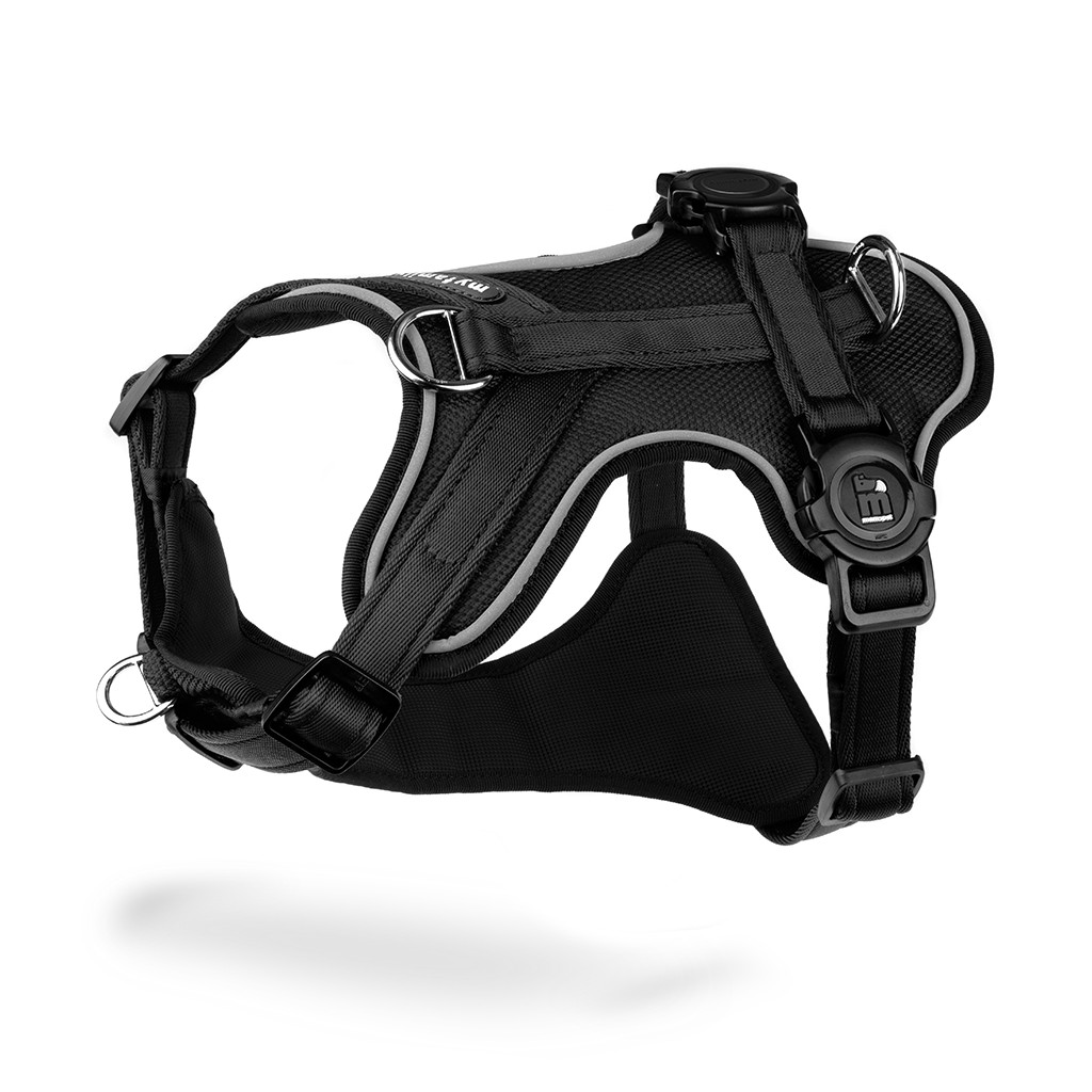 MEMOPET BLACK H-HARNESS XS 1.2CM