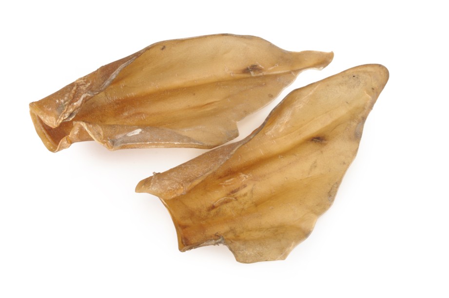 BOILED BEEF EARS X 2PCS