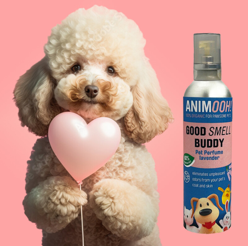 GOOD SMELL BUDDY LAVENDER 100ML