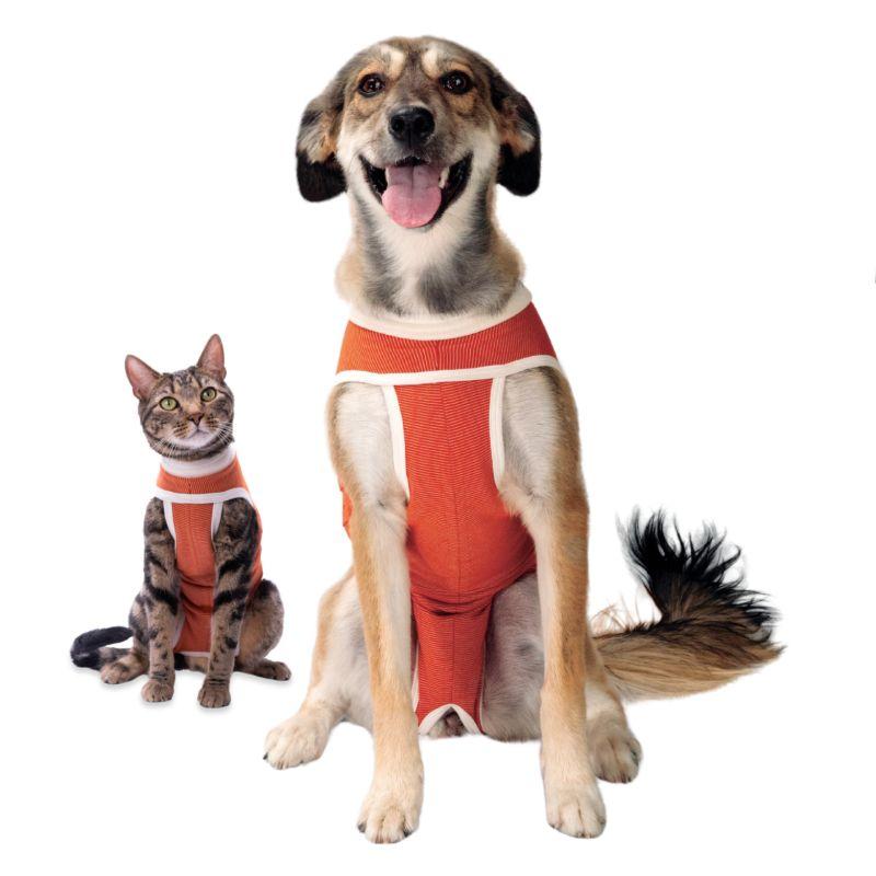 LUNA & MILO COPPERBODY CLASSIC #5