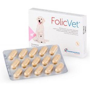 current product image