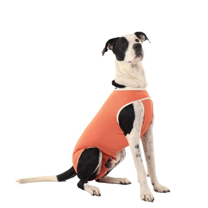 LUNA & MILO COPPERBODY CASTRATION #15