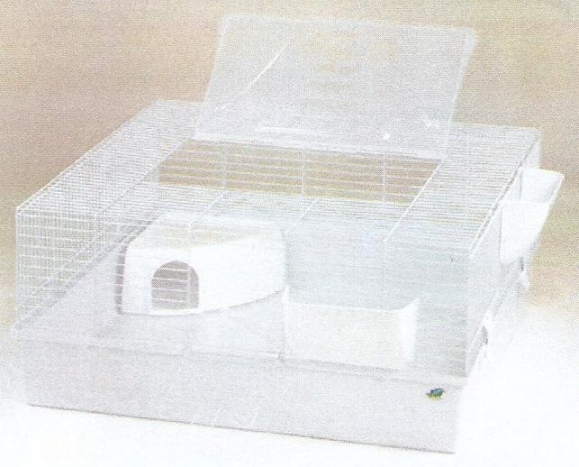 current product image
