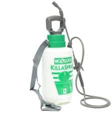 current product image