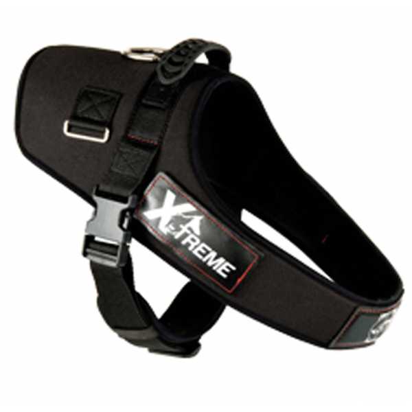 current product image