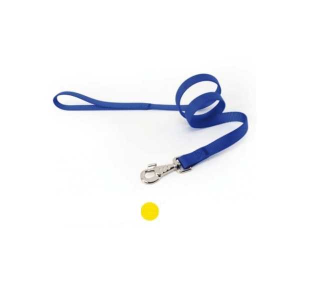 current product image