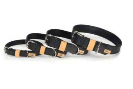 current product image