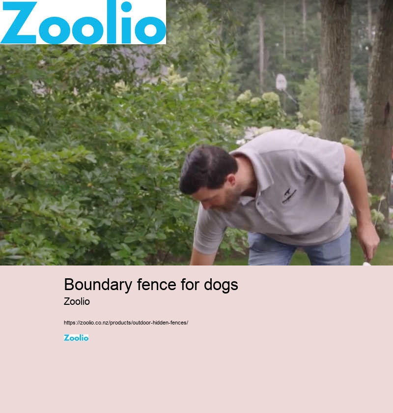 boundary fence for dogs