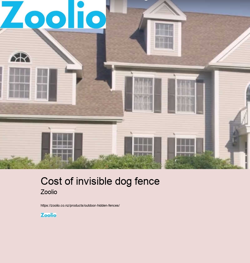 cost of invisible dog fence