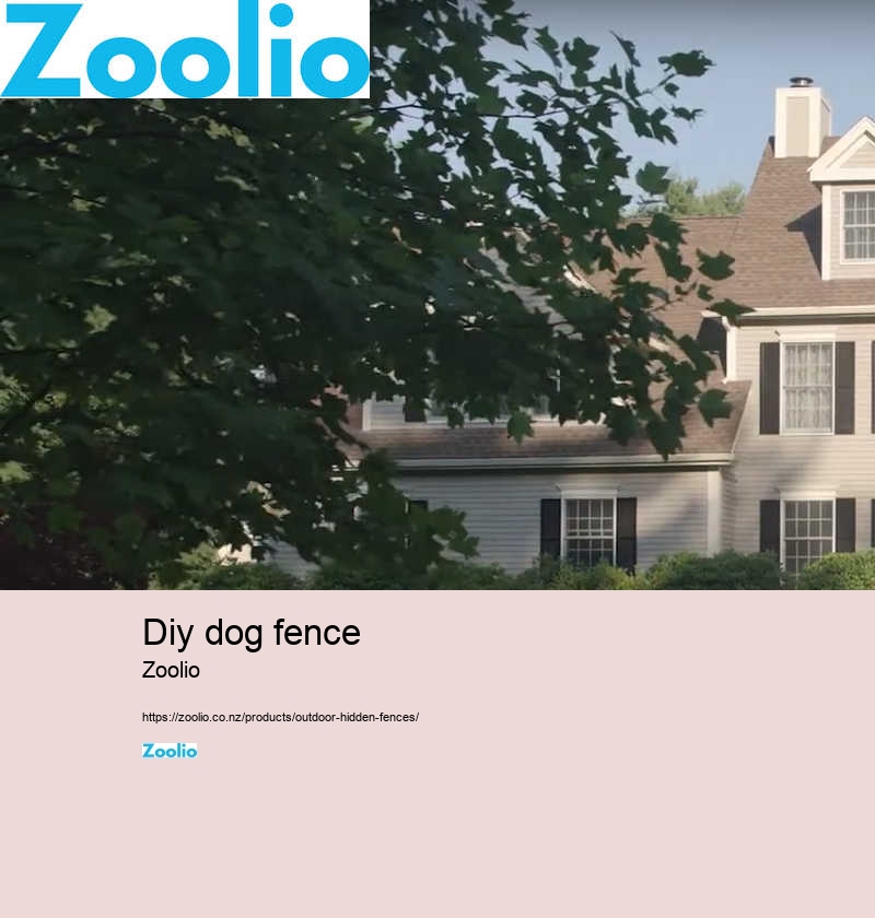 fenceless dog fence