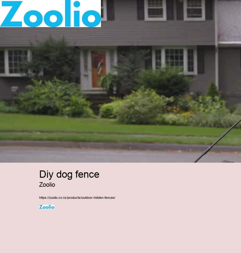 customizable wireless dog fence