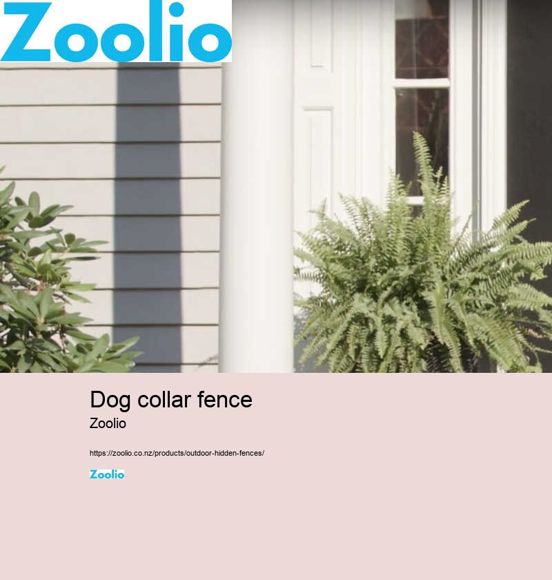 Dog fence