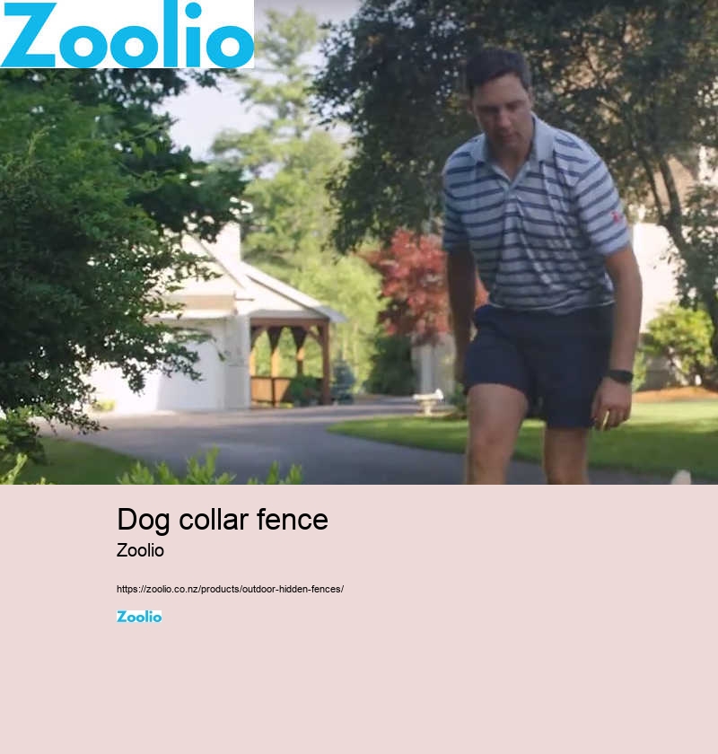 hidden fence dog collar