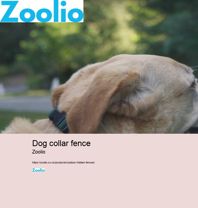 dog collar fence