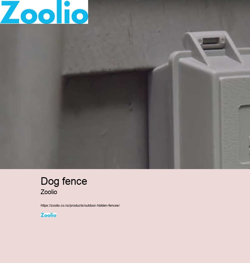 wireless dog fence