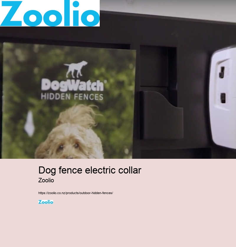 dog fence electric collar