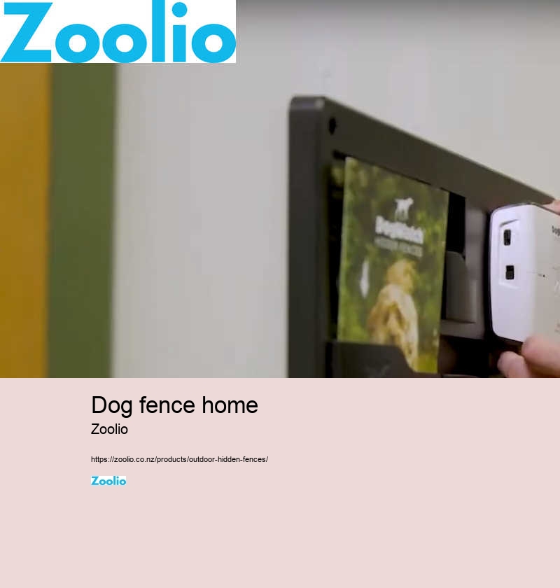 customizable wireless dog fence