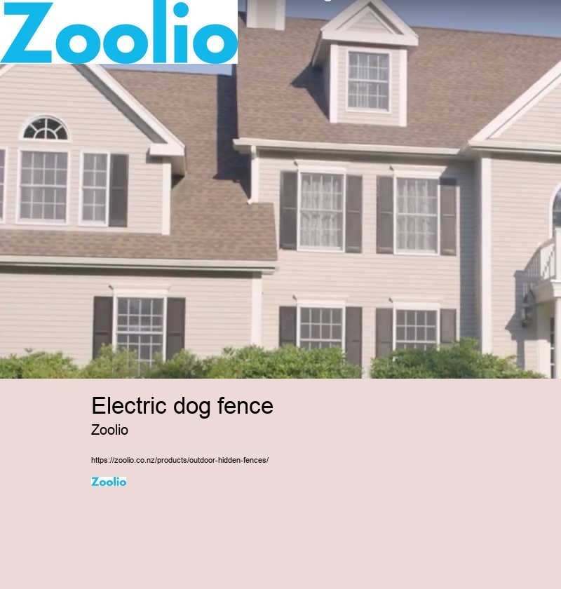 dog fence electric