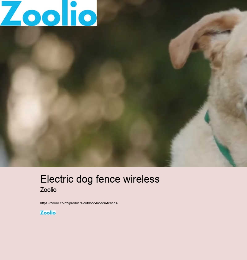 electric dog fence wireless