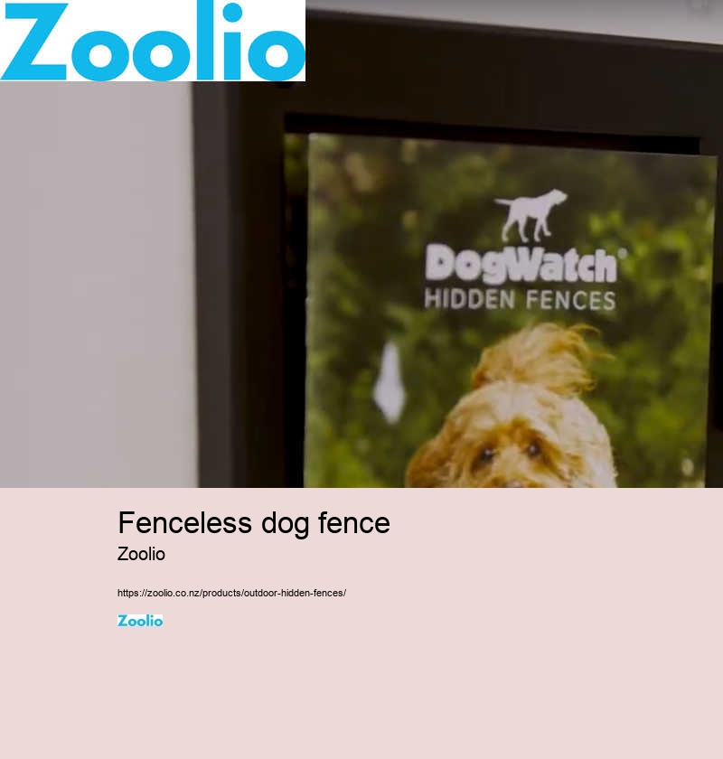 dog fence collar wireless