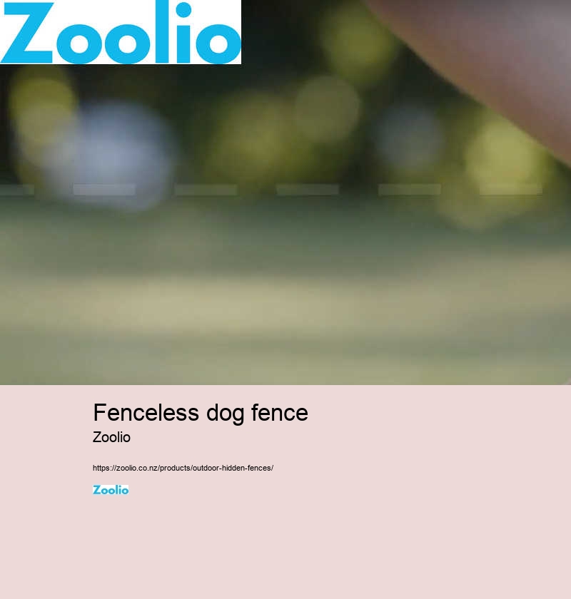 fenceless dog fence