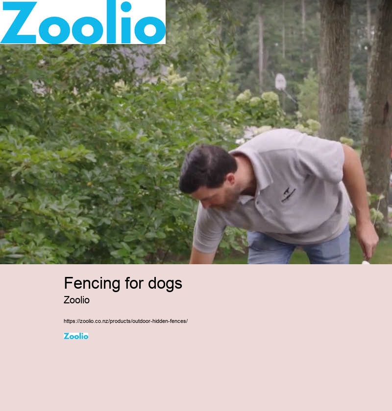 fencing for dogs