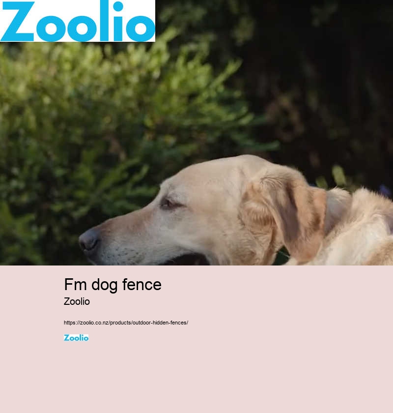 wireless dog fence