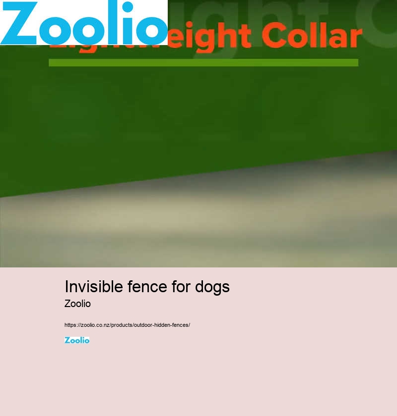 dog fence installation cost