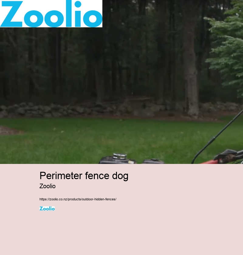 dog fence company