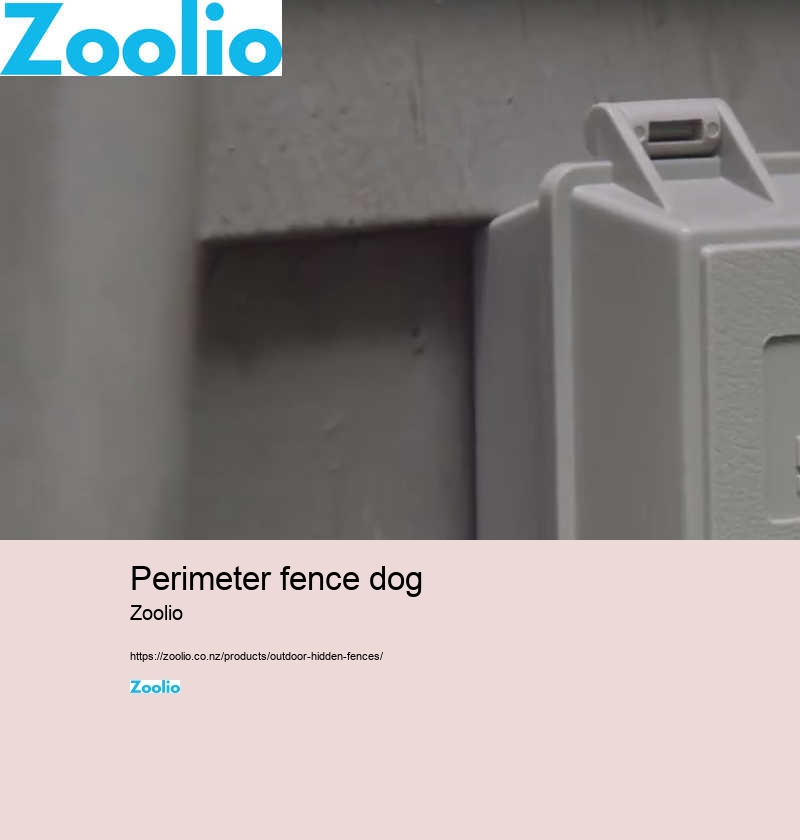 dog fence electric wire