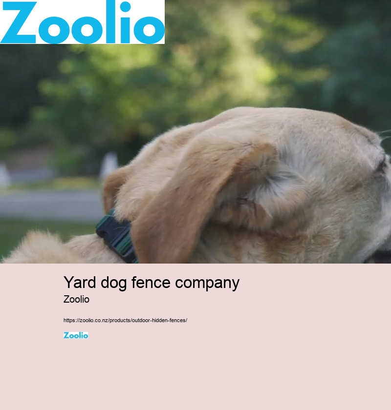 yard dog fence company