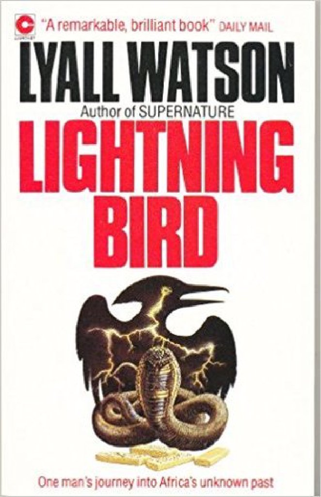 LIGHTNING BIRD