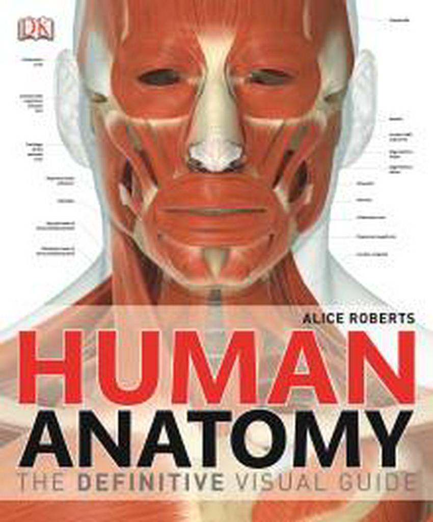 Human Anatomy