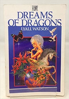 DREAMS OF DRAGONS