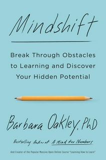 Mindshift-Used Very Good - Paper Back - Delivery in 3-5 days