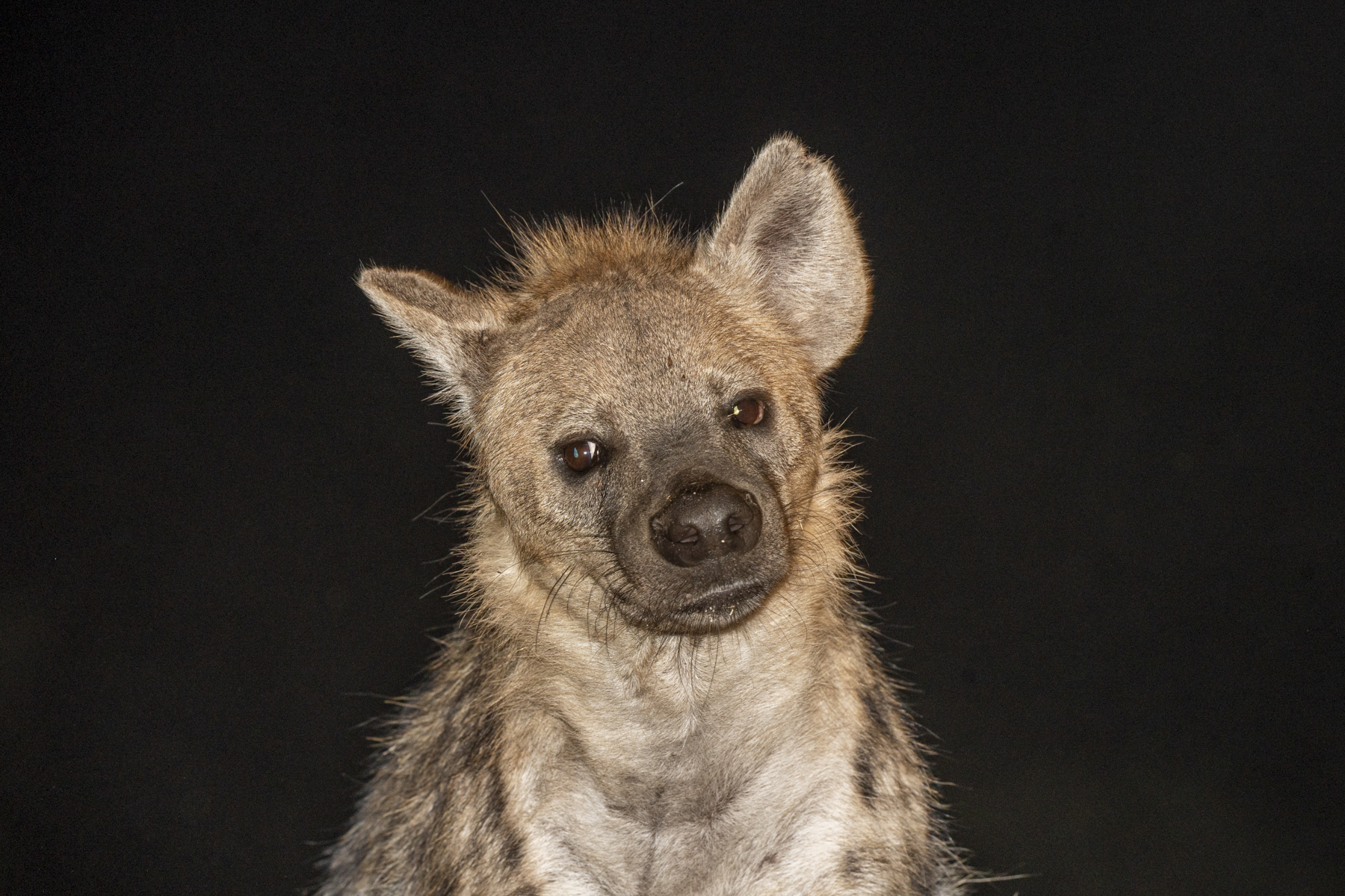 Afar - Travel destination image