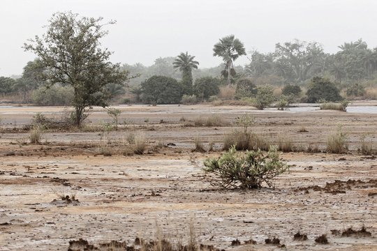 Upper River - Travel destination image