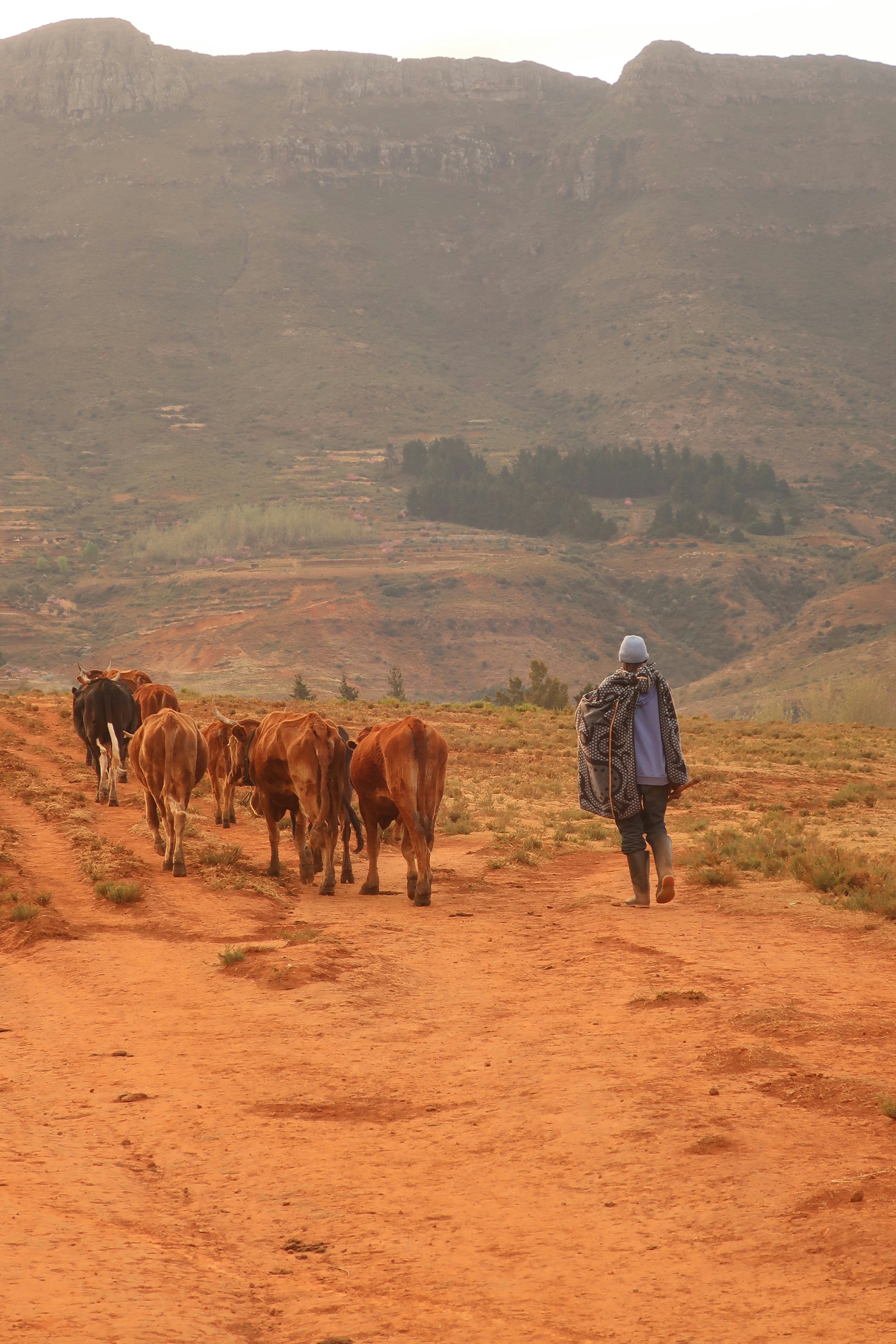 Lesotho - Travel destination image