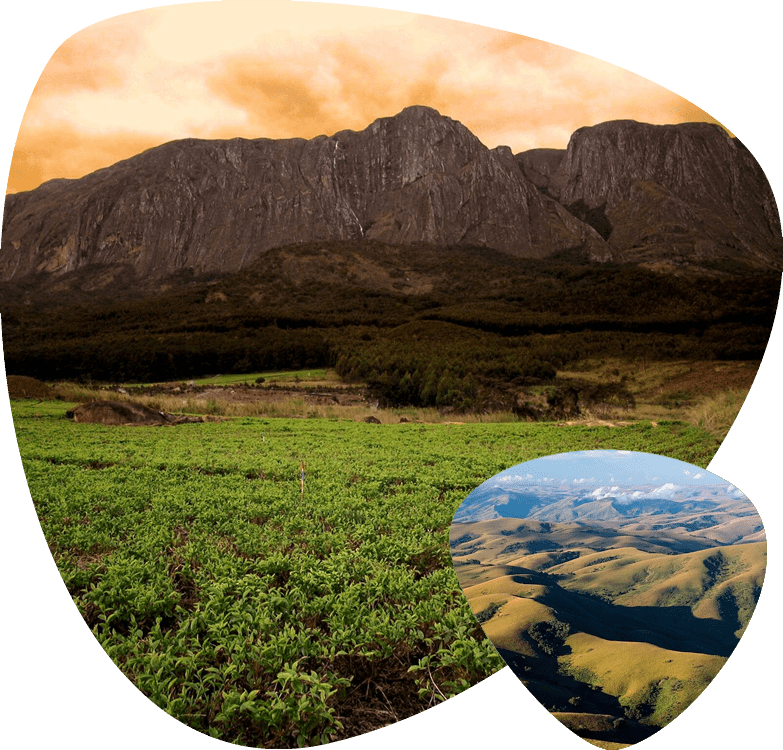 Mzimba - Travel destination image