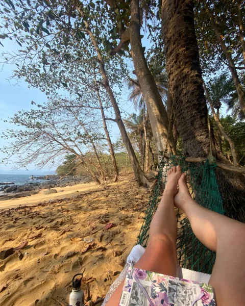 Southern - Travel destination image