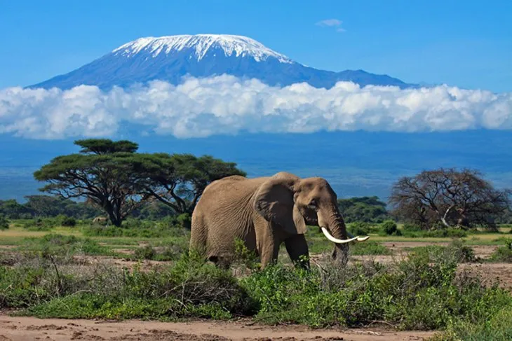 Karagwe - Travel destination image