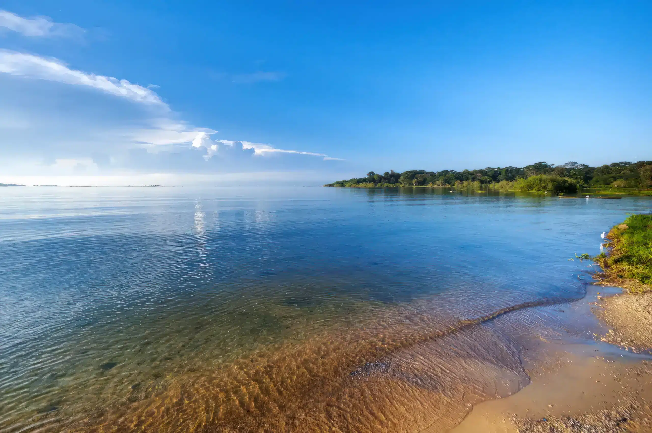 Magu - Travel destination image