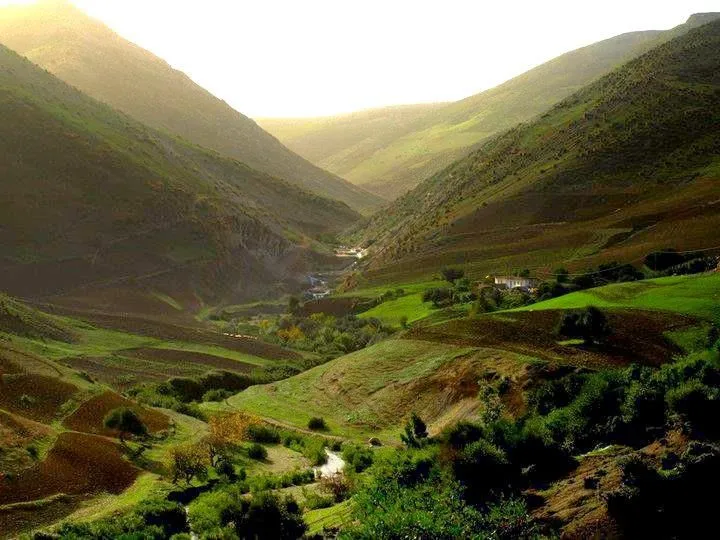 Thala - Travel destination image