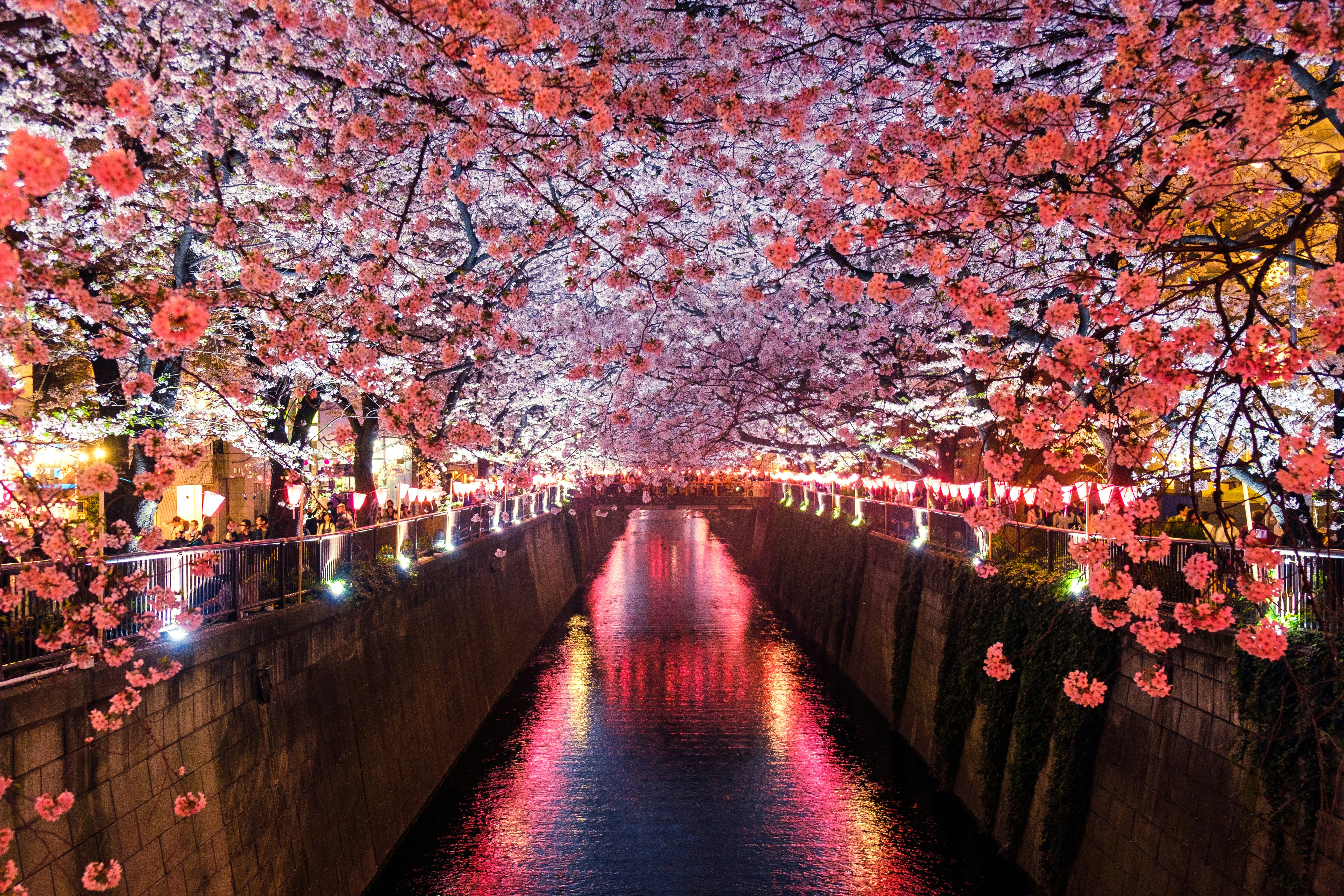 Japan - Travel destination image