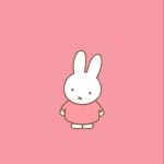 miffy12